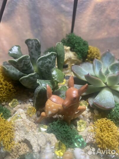 Флорариум капля 22 см