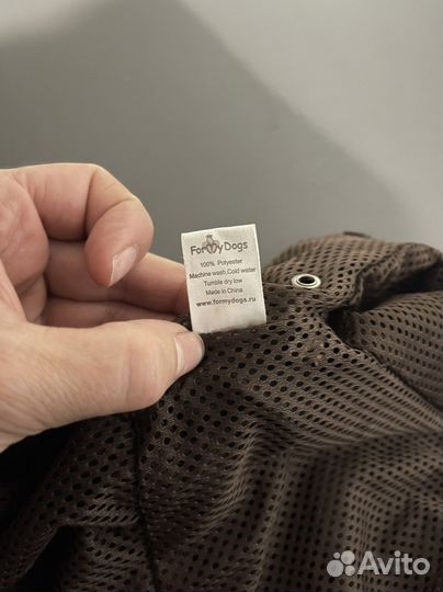 Дождевик для маленькой собаки р.10