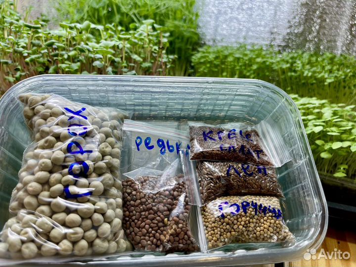 Набор для выращивания микрозелени