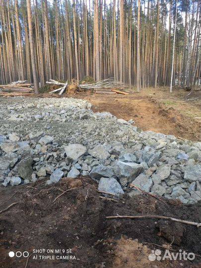 Щебень, скала, отсев,отсыпка участков, выторфовка
