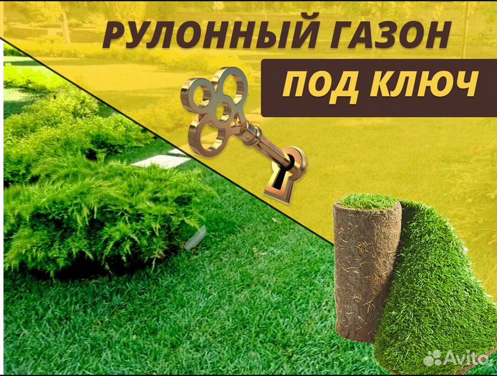 Газон рулонный Стандарт