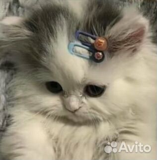 Дрокончик на руку из бумаги