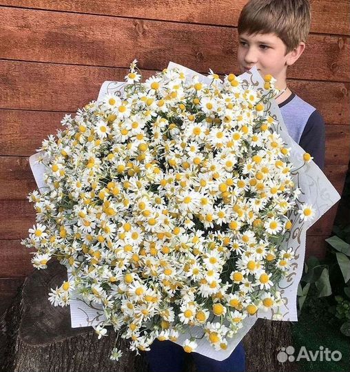 Ромашки букет