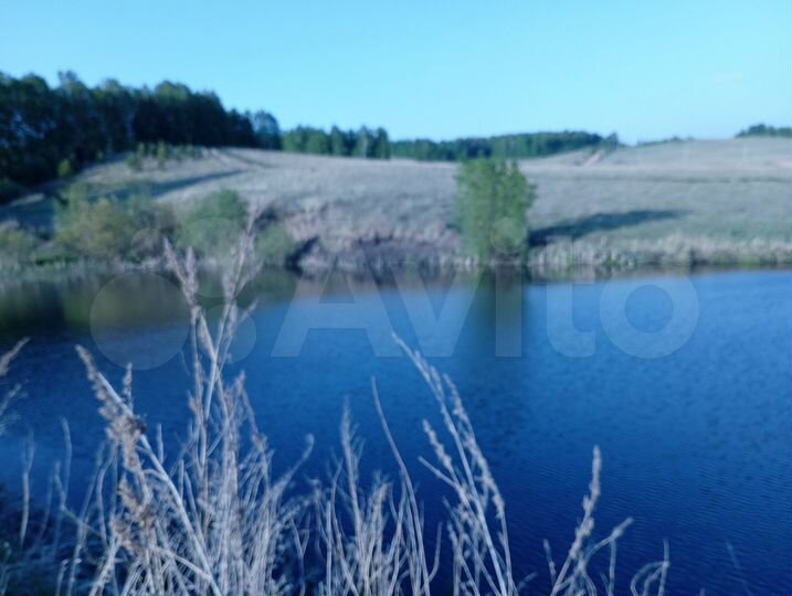 Участок 100 сот. (СНТ, ДНП)