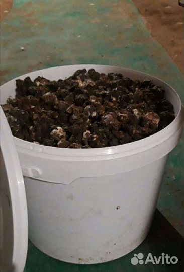 Продам куриный помет
