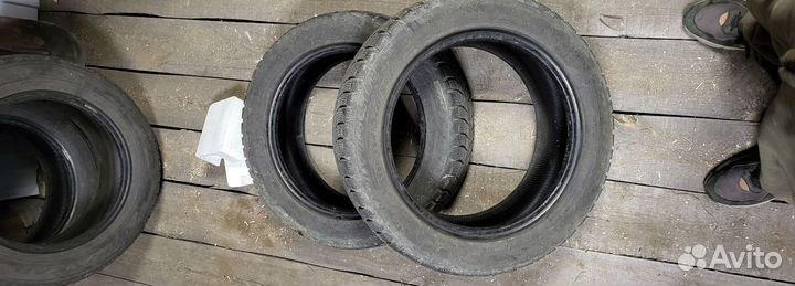 Cordiant Polar SL 205/55 R16