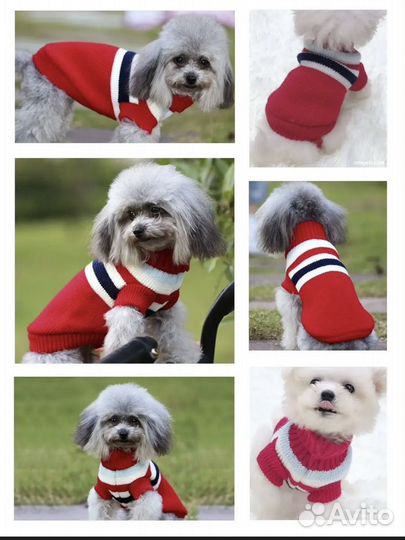 Одежда для собак и кошек