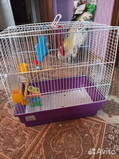 Клетка для попугая