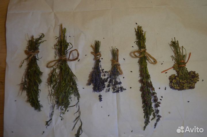 Букетики сухоцветы лаванда шалфей душица