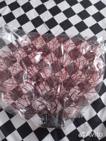 Водоросли в аквариум