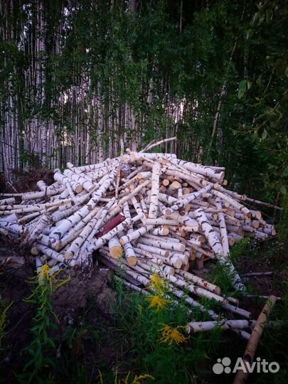 Дрова берёза