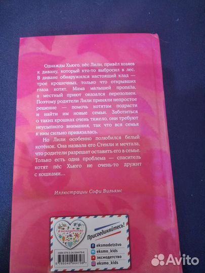 Котёнок Стенли, или настоящий клад