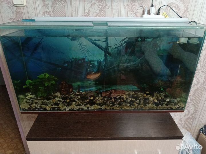 Аквариум