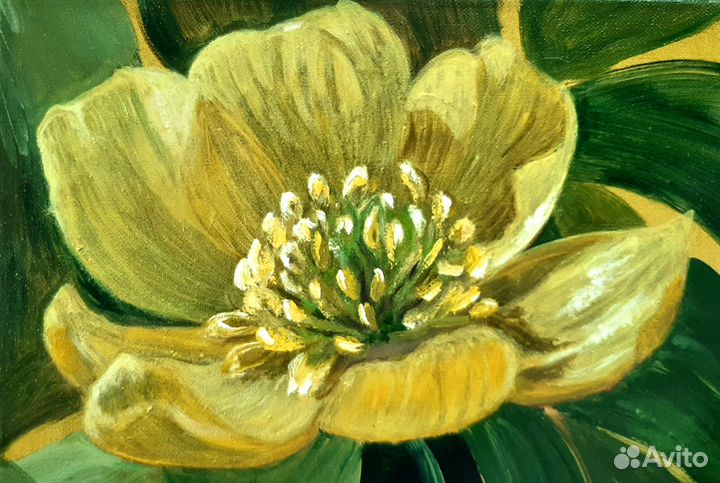 Картина маслом Желтый цветок