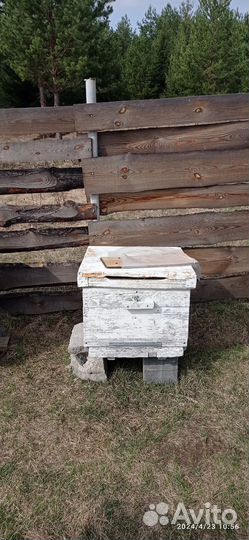 Улей для пчел бу