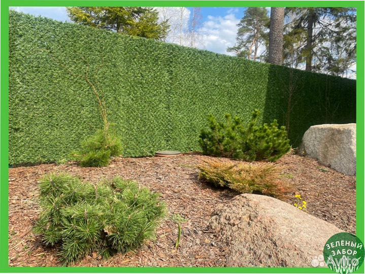 Зелёный Забор