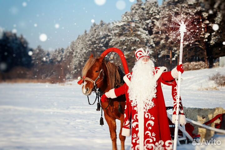 Дед Мороз и Снегурочка на ваш праздник