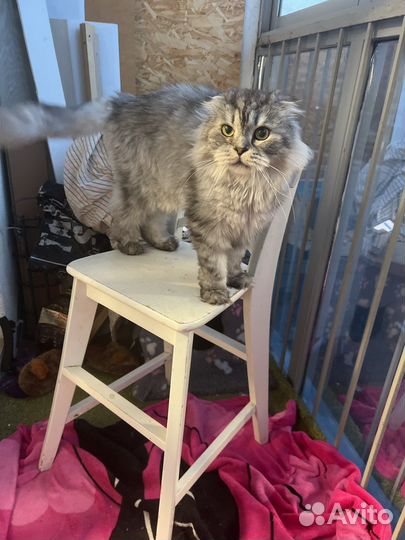 Стул барный детский IKEA