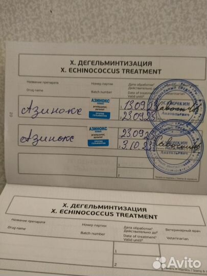 Бельгийская овчарка малинуа