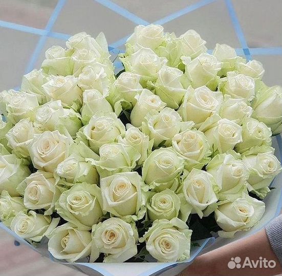 Высокие розы Гигантские розы Доставка цветов