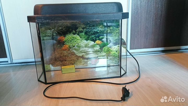 Аквариум