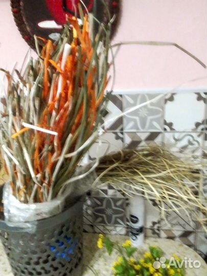 Сувениры, ракушки, и т.д