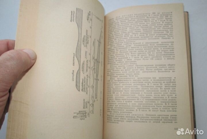 Д.Н.Беленький 