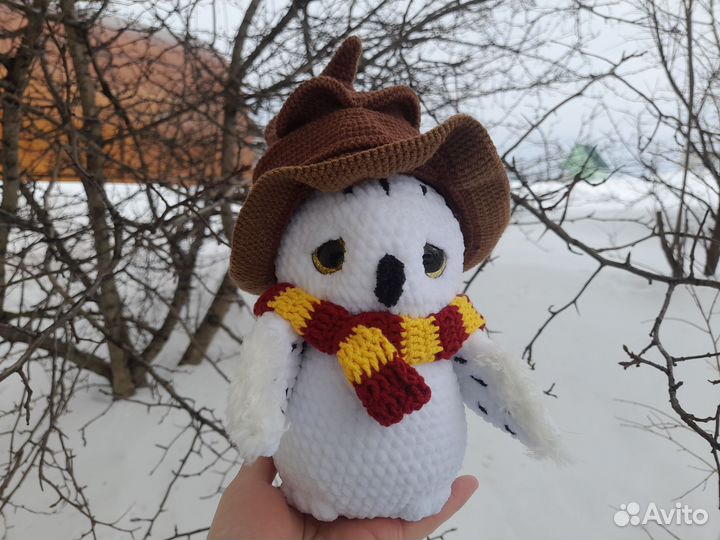 Сова Букля