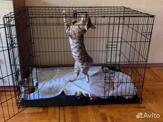 Комплект клетка для животных + миска + лежанка