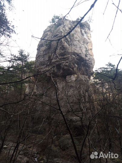 Гид-экскурсовод