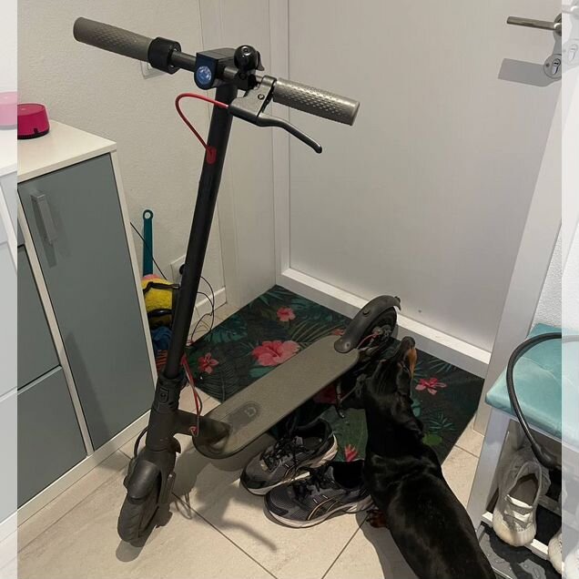 Электросамокат Xiaomi Mi Electric Scooter 1S M365S
