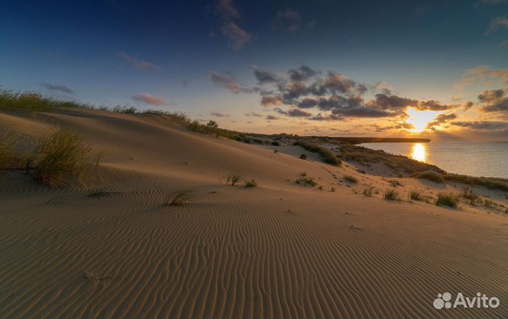 Экскурсии по Калининградской области