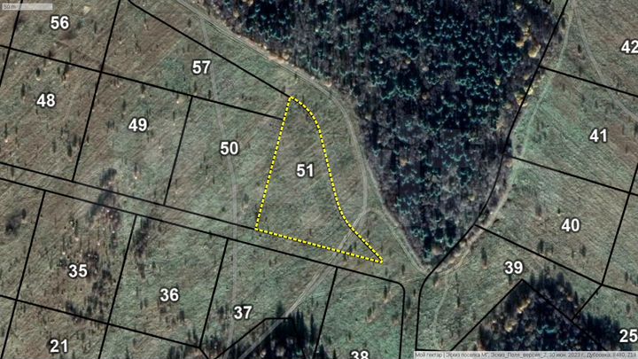 Участок 82,9 сот. (СНТ, ДНП)