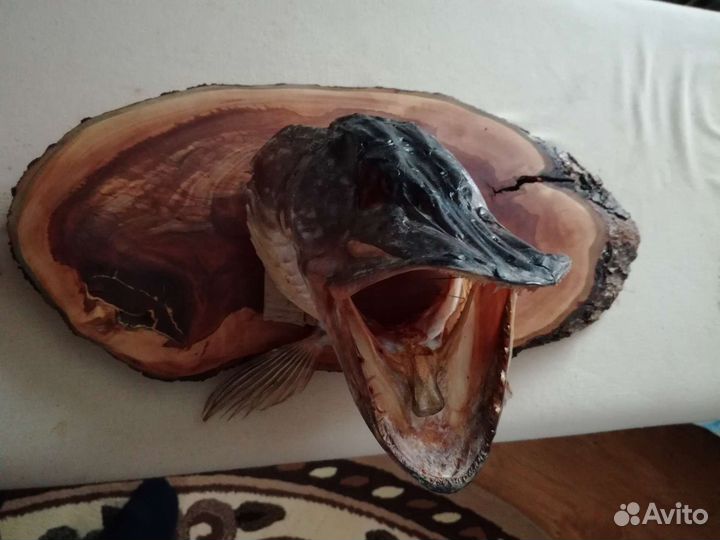 Чучело рыбы