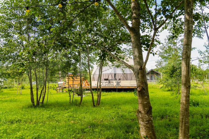 Дом 84 м² на участке 26 сот.