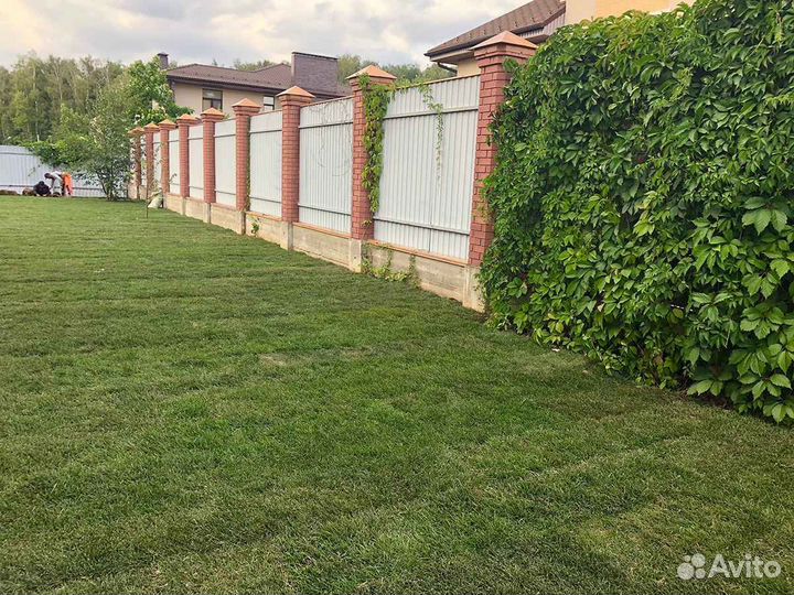 Продажа рулонного газона под ключ