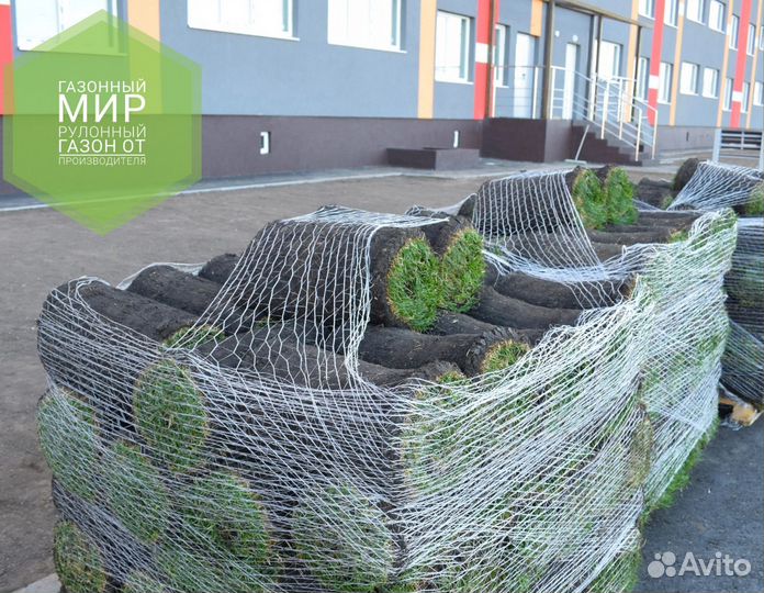 Рулонный газон