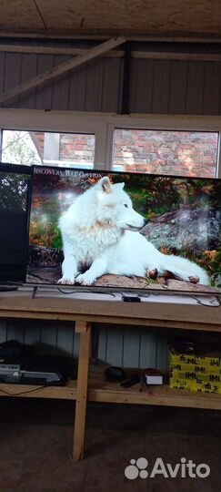 Телевизор Hyundai H-LED48F401BS2