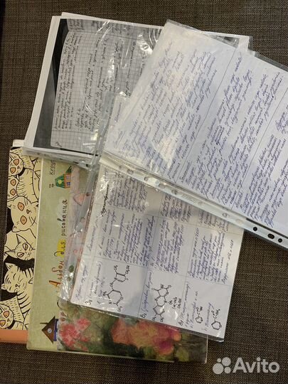 Лекции, альбомы для института