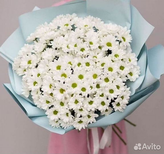 Хризантема Доставка цветов