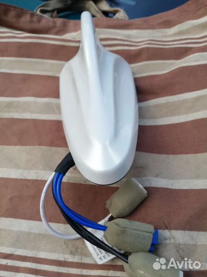 Акулий плавник