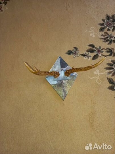 Рога косули