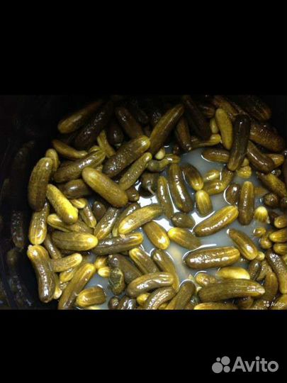 Продам бочковые огурцы