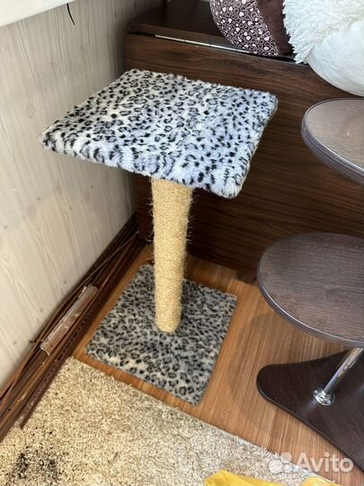 Когтеточка