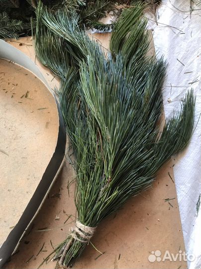 Веники пихтовые кедровые для бани запарки, матрас