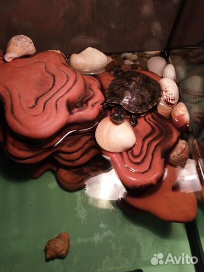 Грот-скала, остров для черепах в аквариум