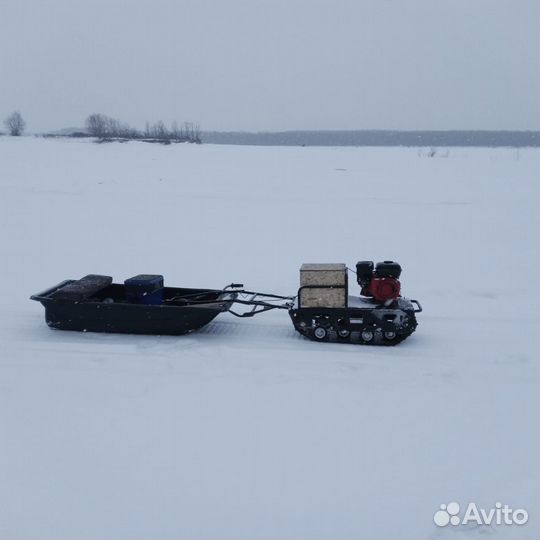 Мото собака
