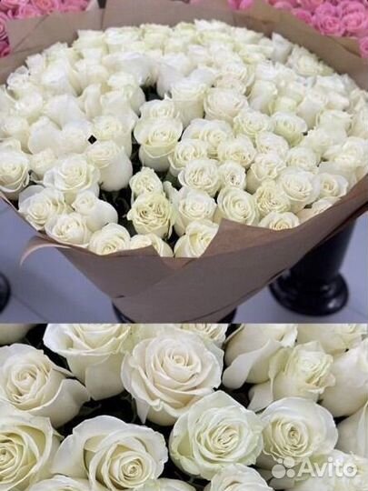 Розы, букеты