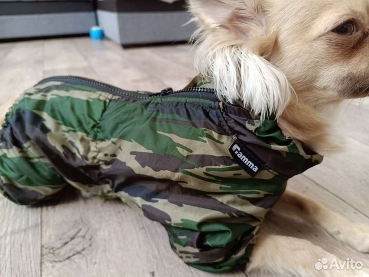 Дождевик для собаки Gamma