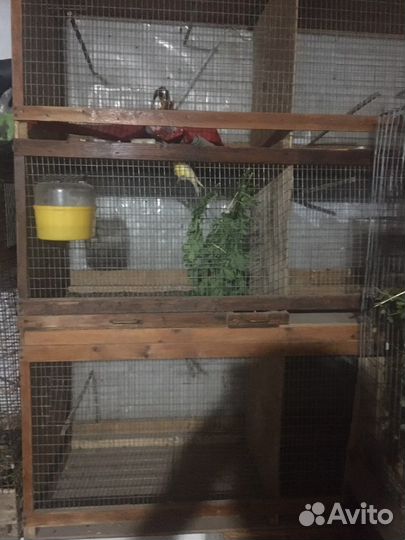 Большая клетка для птиц